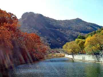 澳门二四六天天彩图库，神马泛目录